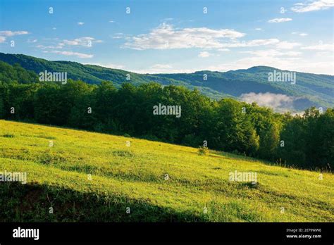 Mountain Meadow In Morning Light Countryside Springtime Landscape With