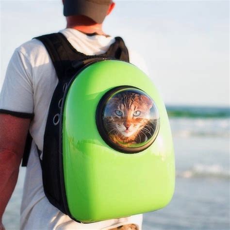 Moreover, the space capsule and canvas are made of superior and our most popular pet bubble backpack is now even better. Bubble Pet Carrier Backpack » Petagadget