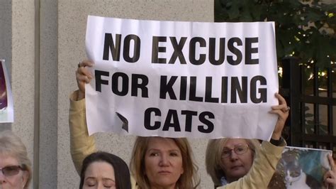 San Jose Residents Speak Out About Accused Cat Killer Abc7 San Francisco