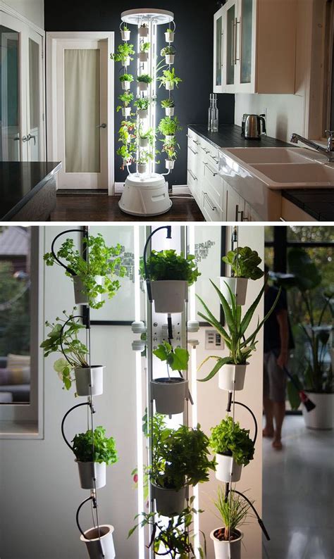 Top 10 great ideas for starting a garden at home 2021 says 5 Vertical Vegetable Garden Ideas For Beginners | Indoor ...