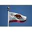 For The Lark Blog Random Rumor Californias State Flag