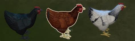 Mod The Sims I Made Custom Chickens But I Can Only Buy Them From
