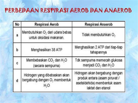 Perbedaan Respirasi Aerob Dan Anaerob