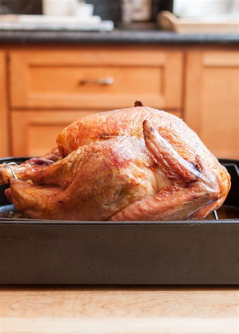How To Cook A Completely Frozen Turkey For Thanksgiving Kitchn