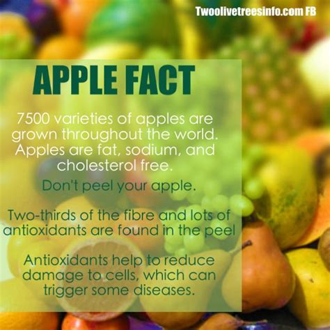 Apple Fact Apple Facts Nutrition Recipes Caramel Apples