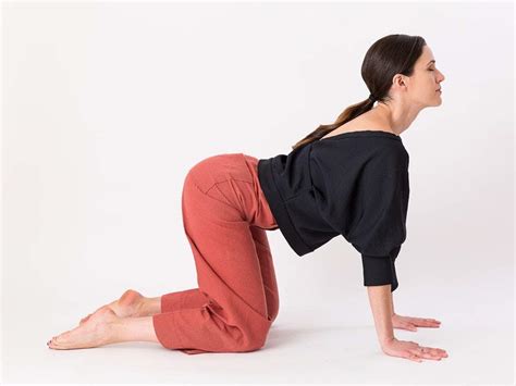Cat Pose Yoga Best Yoga Asana To Strengthen Your Back Misskyra Com