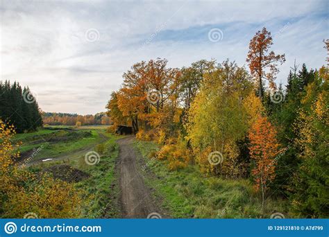 Beautiful Autumn Country Landscape View Gorgeous Nature Backgrounds