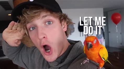 Logan Paul Vlog S Best Intro Compilation Ever Youtube