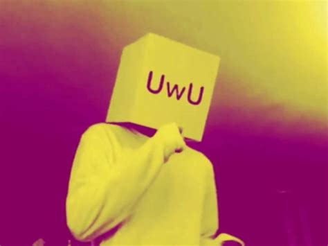 Para conocer un poco más. ¿Qué significa uwu? ¡Te lo explicamos! | ActitudFem