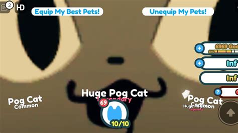 Hatching Huge Pog Cat In Pet Simulator X Cursed 666 Youtube