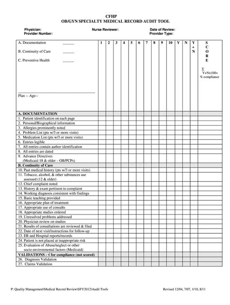 Medical Chart Audit Template