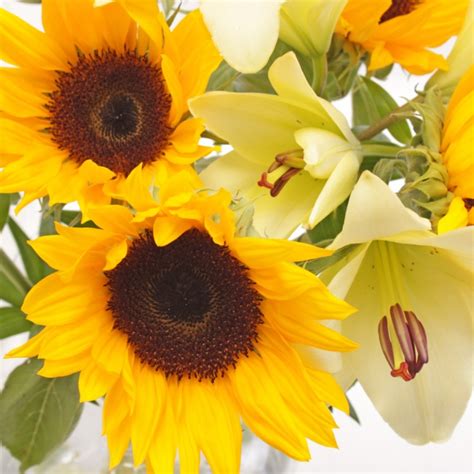 Sunflower And Lily Bouquet