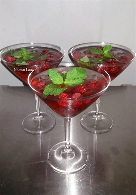 Cranberry Gin Cocktail Your Recipe Blog