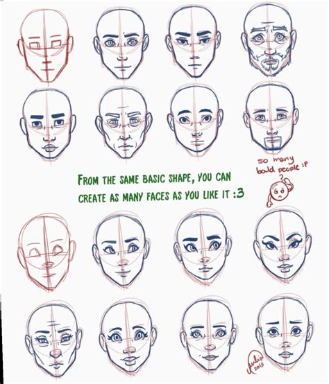Anime Face Shapes Tutorial Anime Face Shapes Drawing Face Shapes Face Shape Chart