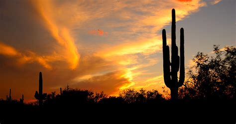 Sonoran Desert Sunset Arizona Photograph By Rafael La O Garcia