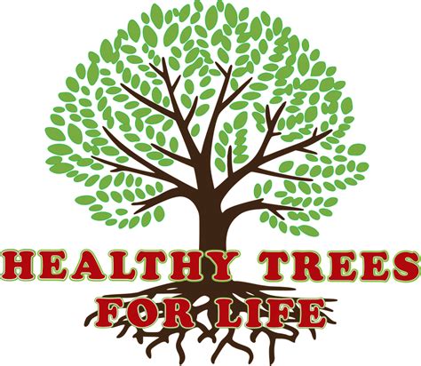 Tree Disease Treatment From Specialist In Ogden Ut Healthy Trees For