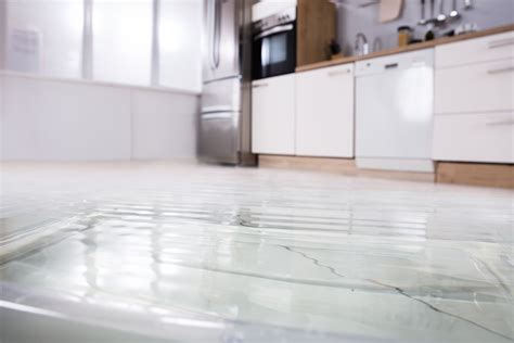 How To Prevent Water Damage To Your Home