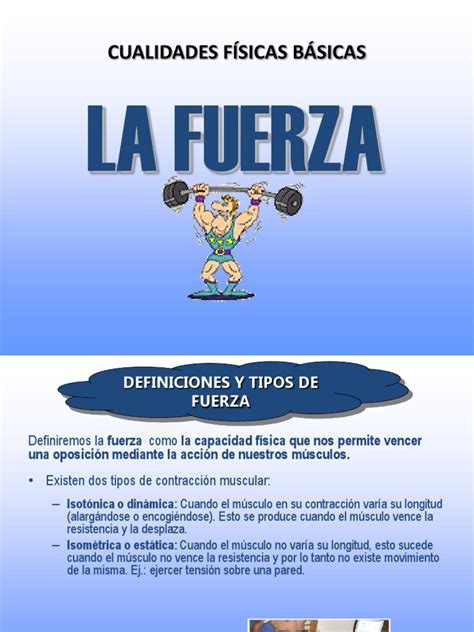 Cualidades Físicas Básicas La Fuerza Músculo Contracción Muscular