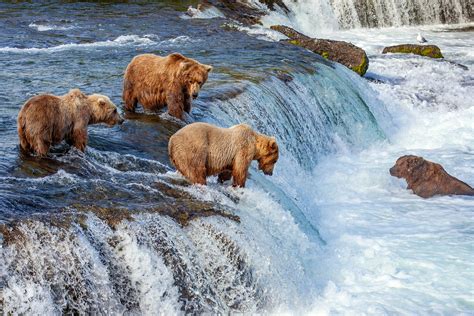 Best Time To Visit Alaska Lonely Planet