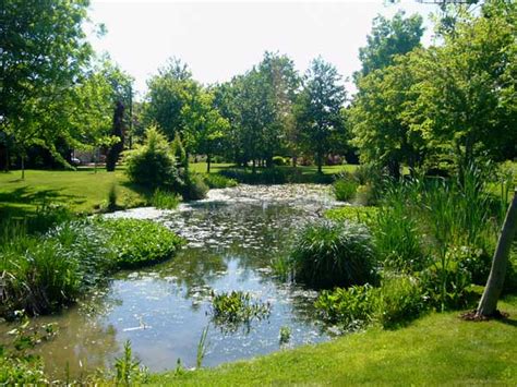 Ideas from the pond, 09:22. Coastal Marine | Brazoria