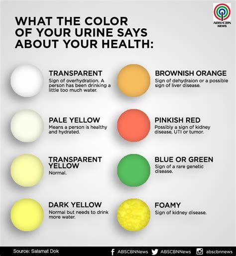 What The Color Of Your Pee Says About Your Health Abs Cbn News