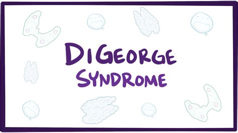 Digeorge Syndrome Video Anatomy Definition Osmosis Hot Sex Picture