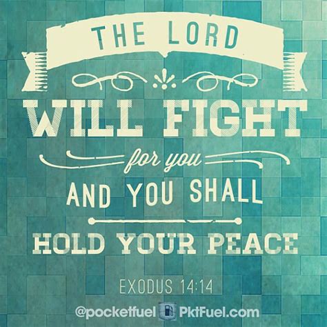 The Lord Himself Will Fight For You Just Stay Calm Exodus 1414 Nlt