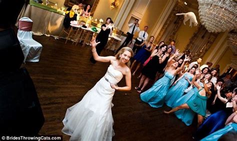 Brides Throwing Cats Hilarious Doctored Images Show The Traditional