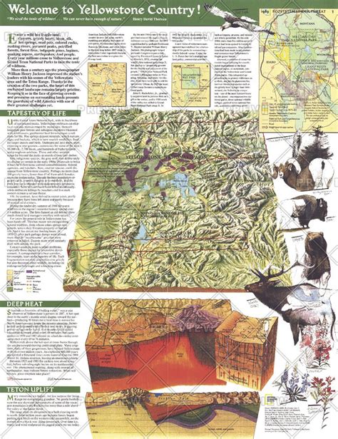 Yellowstone And Grand Teton Map National Geographic Maps