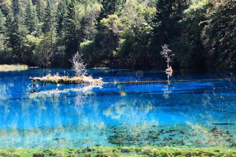 Colorful Lake In Jiuzhaigou National Park Stock Photo Image Of