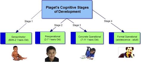 Cognitive development theory has four distinct stages. Cognitive Development - gjwfinalproject2