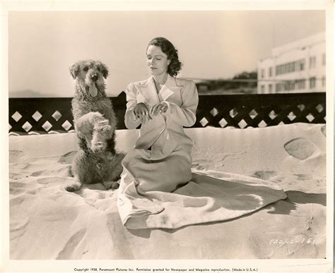 Actress Louise Campbell And Her Airedale Jerry 1938 Airedale Dogs