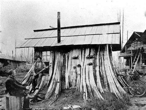 Stump Houses Really Were A Thing Outdoor Revival