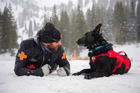 Meet Worlds Bravest Dogs Trained To Save Lives In Avalanche
