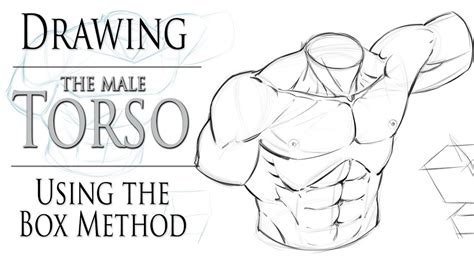 Drawing The Male Torso Boxing In Method Youtube