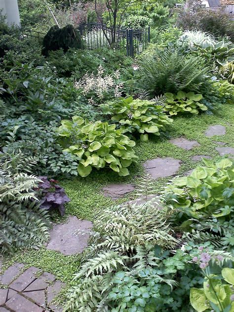 Pin By Kathy Shawhan On Landscaping Shade Garden Shade Plants Hosta