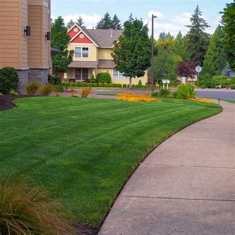 Tips For Lawn Care • Greenview