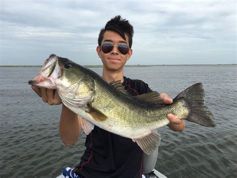 Okeechobee Fishing Report Summer Of Youth And Big Bass Continues