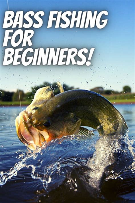 Bass Fishing Tips And Techniques For Beginners Ultimate Guide Artofit