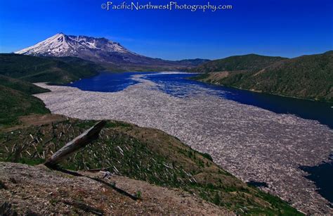 Spirit Lake At Mt St Helens In Washington Those Are Logs In The Lake