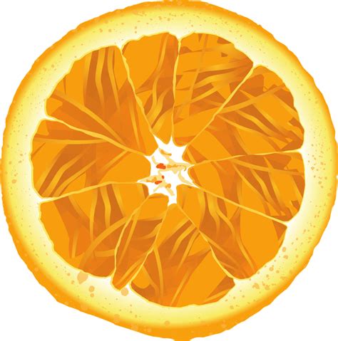 Orange PNG Image - PurePNG | Free transparent CC0 PNG Image Library