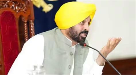 Punjab Government Dissolves All Panchayats Elections Expected In
