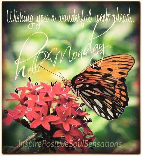 Butterflies Monday Morning Quotes Hello Monday