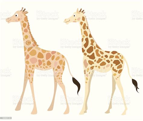 Pair Of Giraffes Stock Illustration Download Image Now Istock
