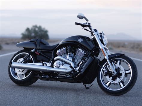 For the uninitiated, muscle bikes are large capacity machines dressed in street cruiser clothing and producing serious amounts of torque and power. 2010 VRSCF V-Rod Muscle accident lawyers | Pictures