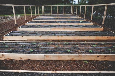 But the most crucial one is you can grow a garden even in a contained soil area. Raised Bed Perennial Garden — Seattle Urban Farm Company