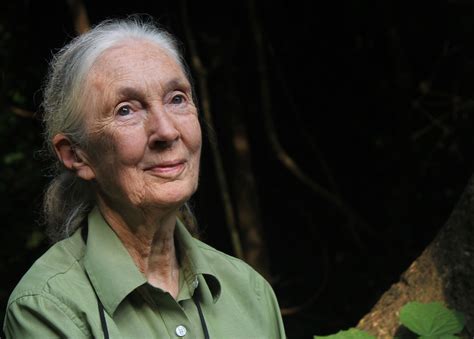 Jane Goodall On Why Hope Is Contagious Mint Lounge