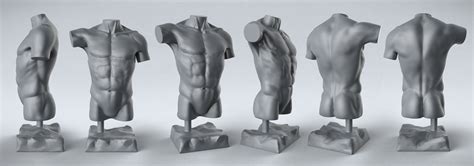 Torso Anatomy Reference Female Anatomy Reference By Devianttear On