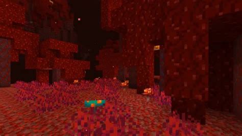 That's why we're you giving all the necessary pointers in our i'll make this short. Riesiges Nether-Update 1.16 wird die Minecraft-Hölle ...