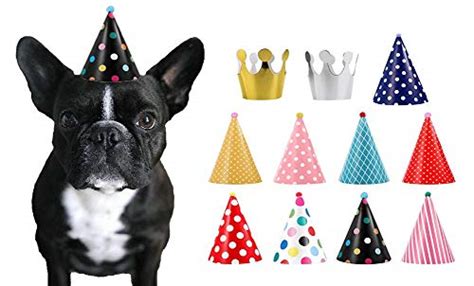 Cbm Dog Party Hat Set Dog Birthday Party Hats And Crowns Party Time